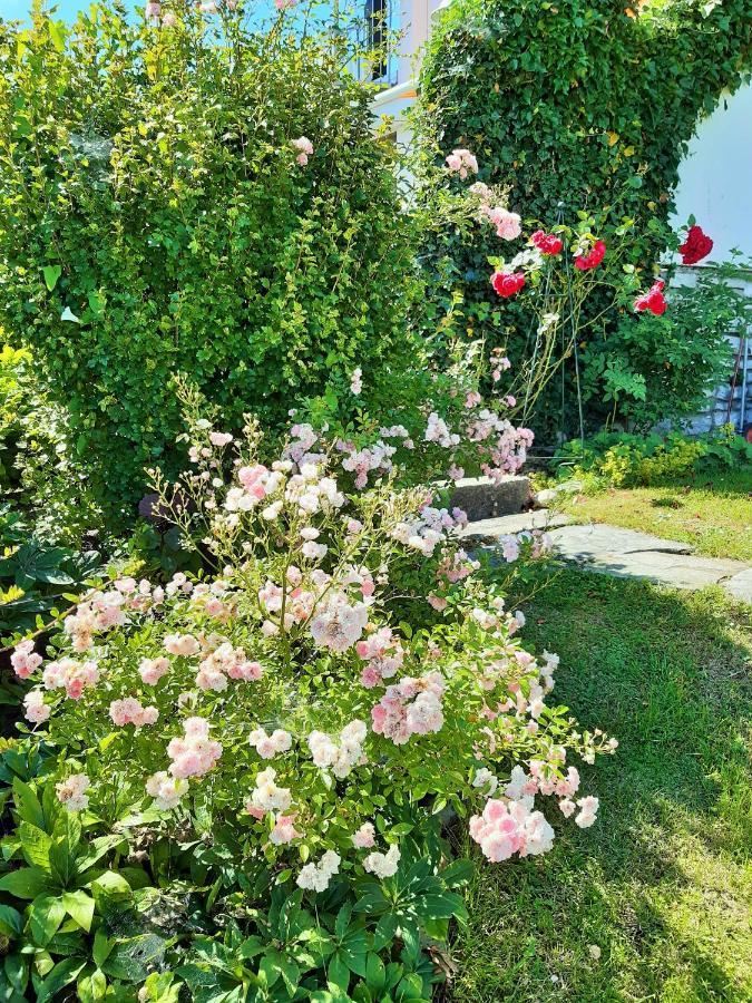 Hotel/Pension Rosengarten Франкинг Экстерьер фото