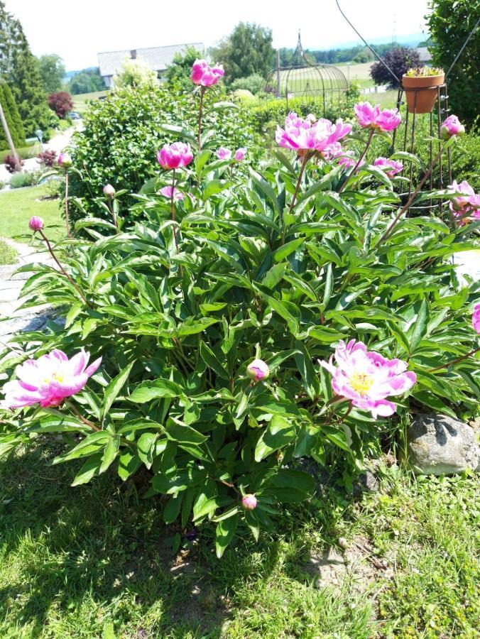 Hotel/Pension Rosengarten Франкинг Экстерьер фото